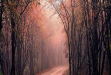 土耳其队力挽狂澜，晋级淘汰赛