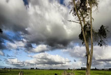 多特蒙德惨遭淘汰，告别欧冠赛场