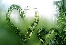 多特蒙德主场不敌对手，遭遇挫折