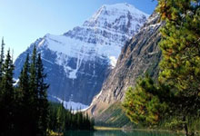 多特蒙德主场不敌对手，遭遇挫折