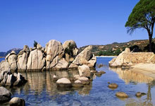 多特蒙德主场不敌对手，遭遇挫折